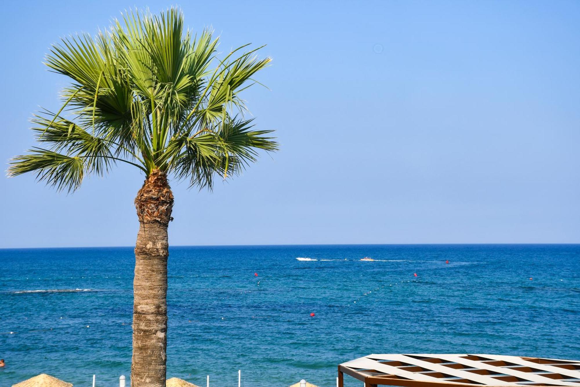 Mimoza Beach Hotel Agios Sergios Ngoại thất bức ảnh